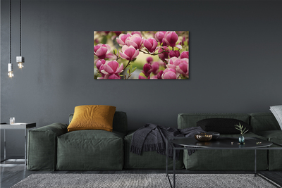 Canvas bild Träd blommor