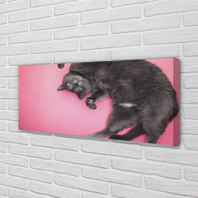 Bild canvas Liggande katt