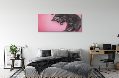 Bild canvas Liggande katt