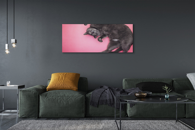 Bild canvas Liggande katt