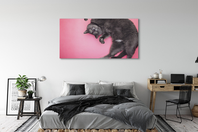 Bild canvas Liggande katt