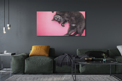 Bild canvas Liggande katt