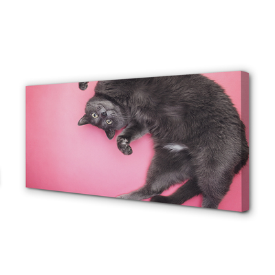 Bild canvas Liggande katt