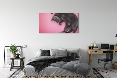 Bild canvas Liggande katt