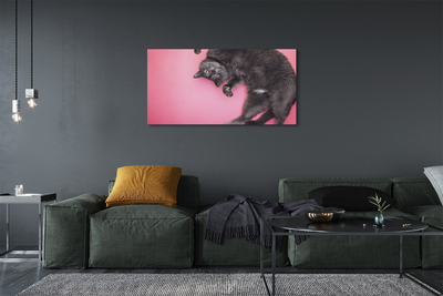 Bild canvas Liggande katt