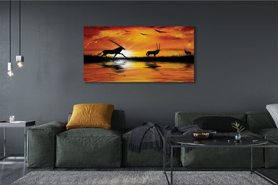 Fototryck canvas Fåglar sjön solnedgång