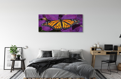 Fototryck canvas Färgglada fjärilsblommor
