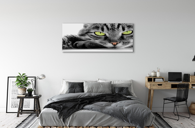 Bild på canvas Grå och svart katt