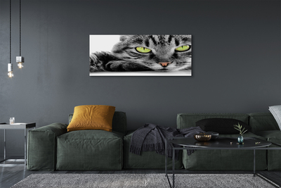 Bild på canvas Grå och svart katt