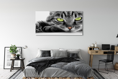 Bild på canvas Grå och svart katt