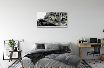 Bild på canvas Grå och svart katt