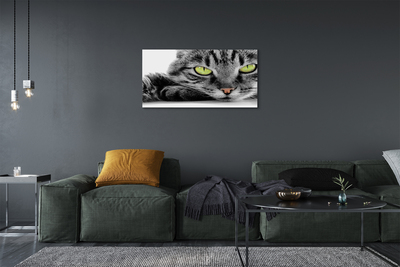 Bild på canvas Grå och svart katt