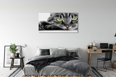 Bild på canvas Grå och svart katt