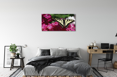 Bild på canvas Fjärilsblommor