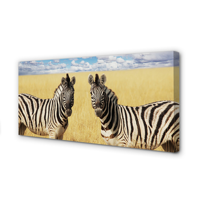 Fototryck canvas Zebrafält