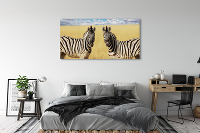 Fototryck canvas Zebrafält