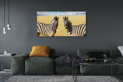 Fototryck canvas Zebrafält