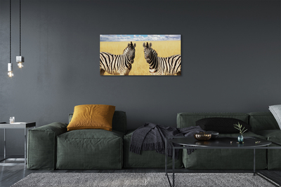 Fototryck canvas Zebrafält