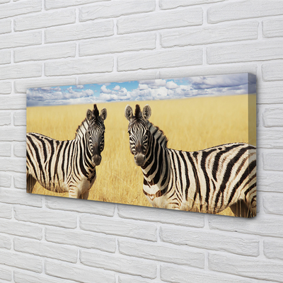 Fototryck canvas Zebrafält