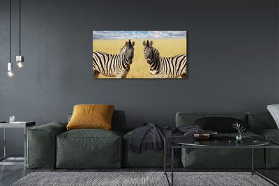 Fototryck canvas Zebrafält