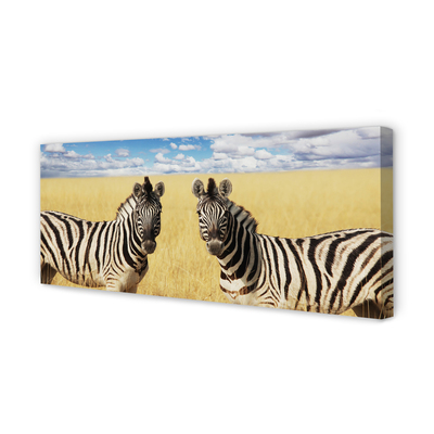 Fototryck canvas Zebrafält