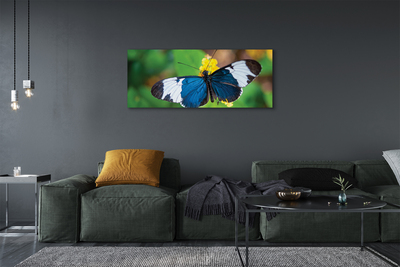 Bild canvas Färgglad fjäril på blommor