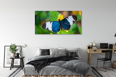 Bild canvas Färgglad fjäril på blommor