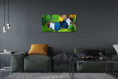 Bild canvas Färgglad fjäril på blommor