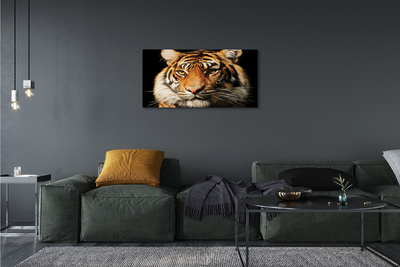 Fototryck canvas Tiger