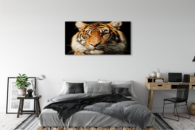 Fototryck canvas Tiger