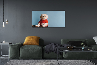 Fototryck canvas Sittande katt