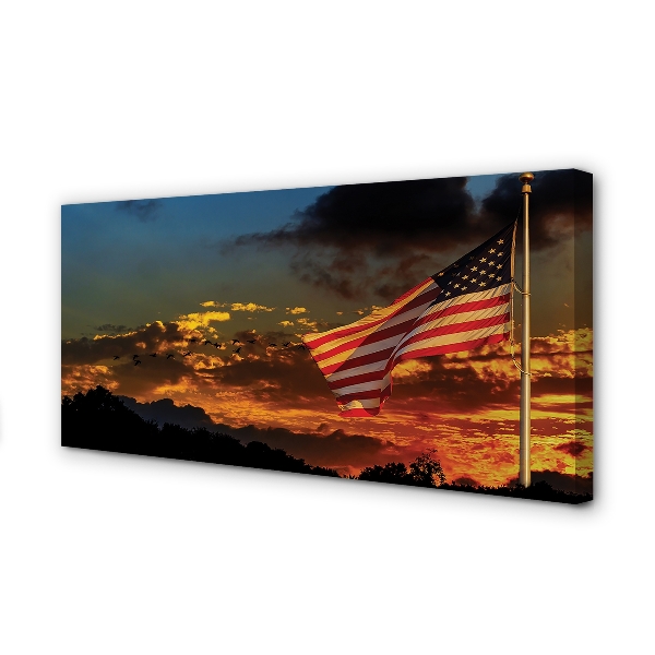 Bild canvas USA:s flagga