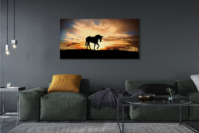 Canvas bild Enhörnings solnedgång