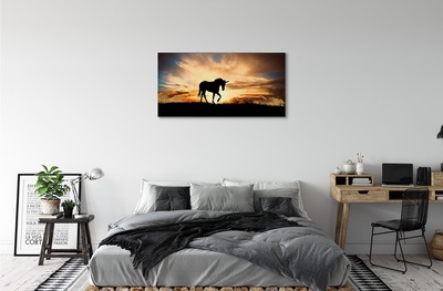Canvas bild Enhörnings solnedgång