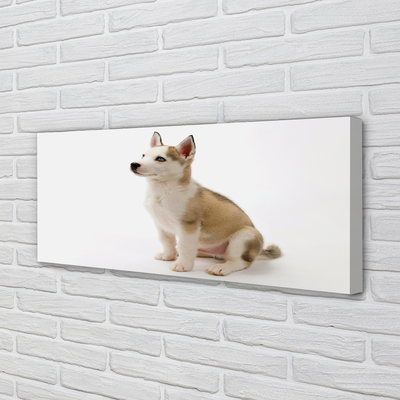 Fototryck canvas Sitter liten hund