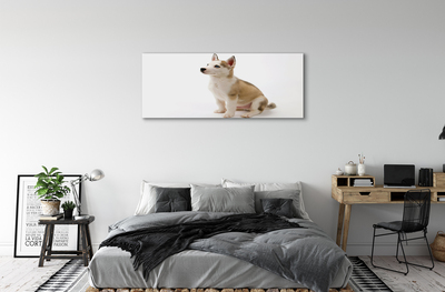 Fototryck canvas Sitter liten hund