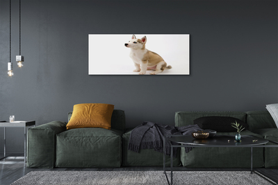 Fototryck canvas Sitter liten hund