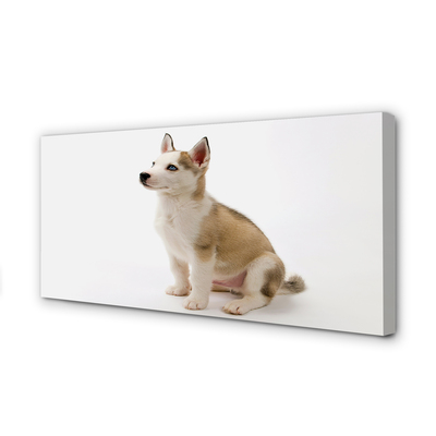 Fototryck canvas Sitter liten hund