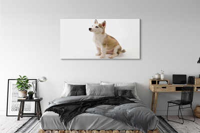 Fototryck canvas Sitter liten hund