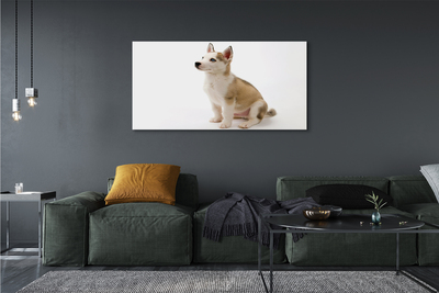 Fototryck canvas Sitter liten hund