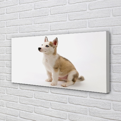 Fototryck canvas Sitter liten hund