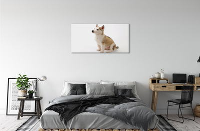 Fototryck canvas Sitter liten hund