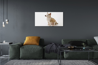 Fototryck canvas Sitter liten hund