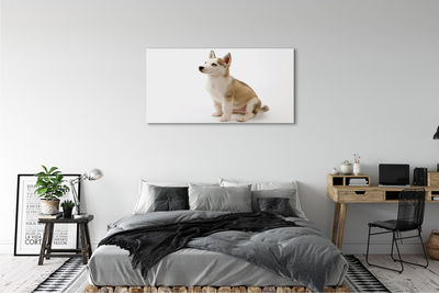 Fototryck canvas Sitter liten hund