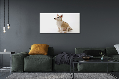 Fototryck canvas Sitter liten hund