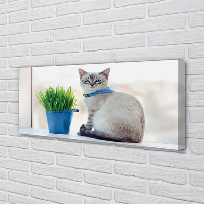 Canvas bild Sittande katt