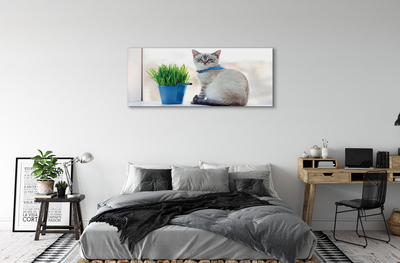 Canvas bild Sittande katt