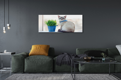 Canvas bild Sittande katt