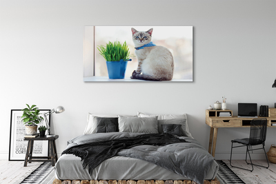 Canvas bild Sittande katt