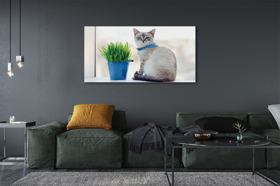 Canvas bild Sittande katt